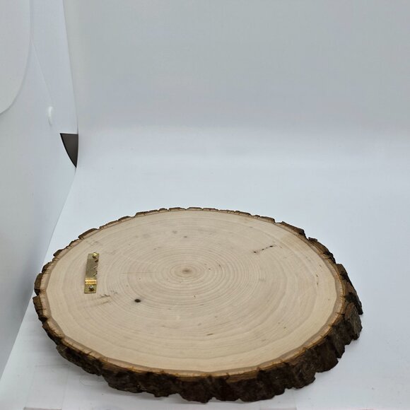 Highland cow wood burned art 8 x.75 in Round, live edge - Picture 6 of 9